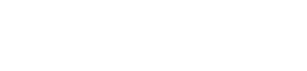 Infoteam logo_hvit-hires